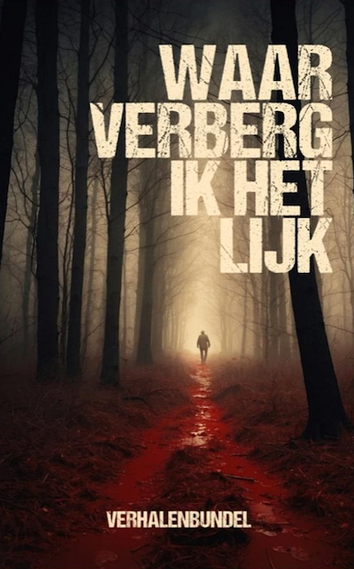 coverfoto Waar verberg ik het lijk 